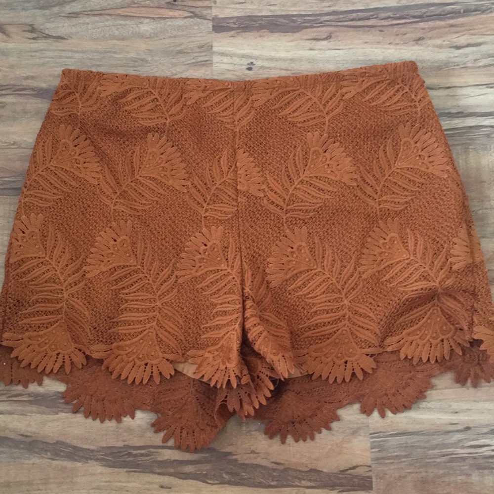 Urban Outfitters Adorable Lace Shorts